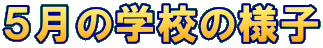 �T���̊w�Z�̗l�q 