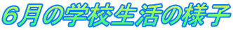 �U���̊w�Z�����̗l�q
