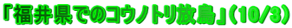 �u���䌧�ł̃R�E�m�g�������v�i10/3�j
