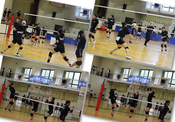 volleyball