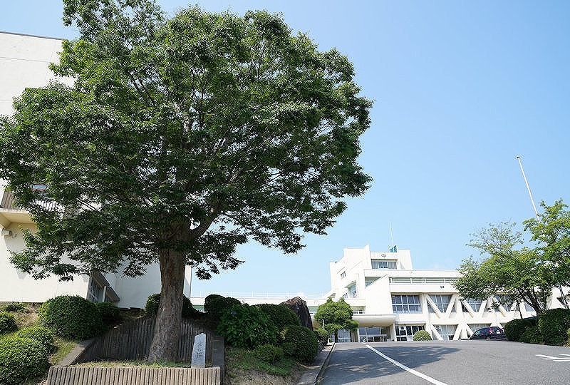 学校写真1